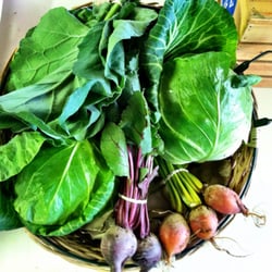 Blue Moon Acres - Beautiful red and golden beets available in the market
