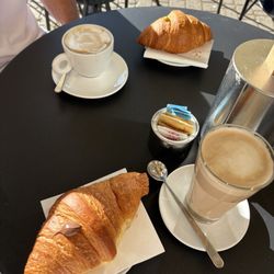 Il Criollo