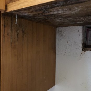 Tumbleweed Tiny House - Mold on bottom side of cabinet from range hood - RV Dealers Near Me - Colorado Springs, Colorado