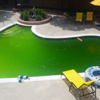 Indio Management - This is the current state of one of their properties pools! - Property Management Near Me - Dallas, Texas Indio Management - This is the current state of one of their properties pools! - Property Management Near Me - Dallas, Texas