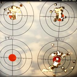 Sportsman's Elite - TL: AR10 Federal ammo at 300 yards.   TR: AR10 WhiteTail ammo at 300 yards.   BR: Desert Eagle and Colt 1911 .45s Magtech ammo  at 15yards.