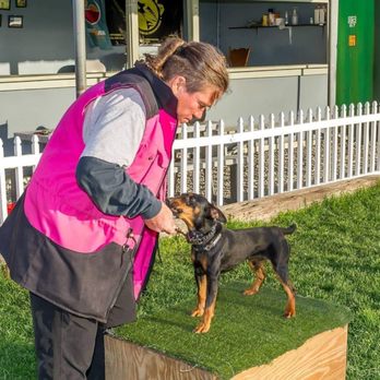 Redefined Dog Training - Bast the beast Jagd terrier in training - Pet Training Near Me