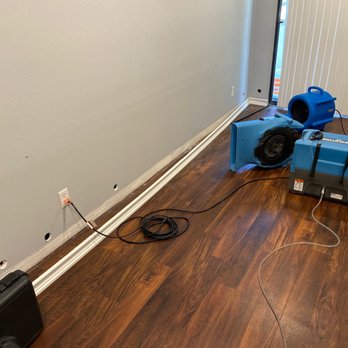 Mold Los Angeles - Environmental Testing Near Me Mold Los Angeles - Environmental Testing Near Me