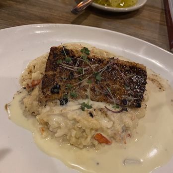 Grazia Italian Kitchen - Mahi Mahi with Black Truffle Lobster Risotto - Italian Near Me - Pearland, Texas