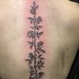 Chromatic Tattoo & Body Piercing Studio