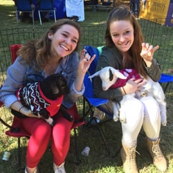Fannie's Farm Friends - The "De-Stress" Festival at St. Edwards University.