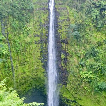 Akaka Falls State Park - Akaka Falls - Parks Near Me - Honomu, Hawaii Akaka Falls State Park - Akaka Falls - Parks Near Me - Honomu, Hawaii