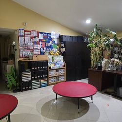 Crocodile Kids Preschool & Child Care