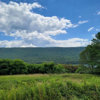 Bald Eagle State Park - Beautiful views - Parks Near Me - Howard, Pennsylvania