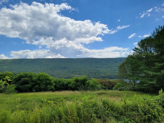 Bald Eagle State Park by null