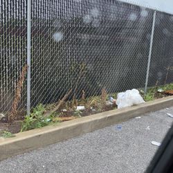 The Spot - Trash