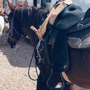 Silver State Horseback Riding Tours - Horseback Riding Near Me Silver State Horseback Riding Tours - Horseback Riding Near Me