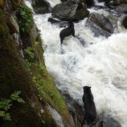 Alaska Waters