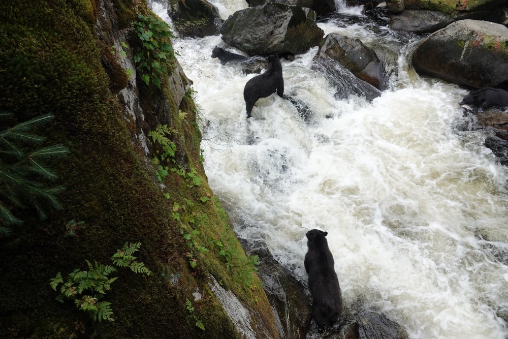 Alaska Waters