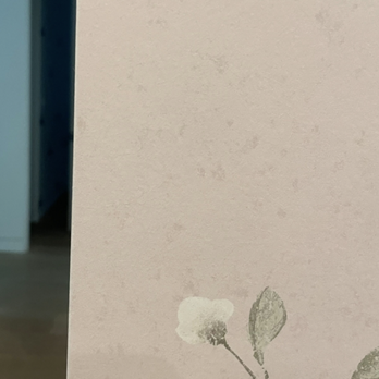 Phenom Wallcovering - Wallpapering Near Me Phenom Wallcovering - Wallpapering Near Me