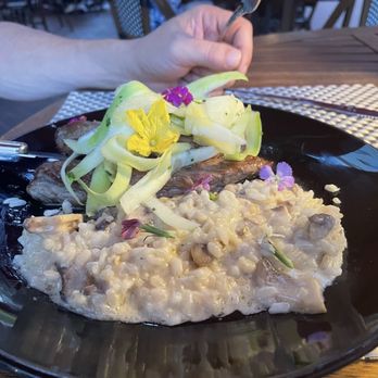 C’est La Vie Bistro - Lamb tenderloin with mushroom risotto - French Near Me - Lancaster, Pennsylvania