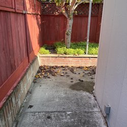 Before Photos (December 2025)