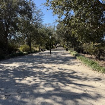 Hampton Park - Parks Near Me - Charleston, South Carolina