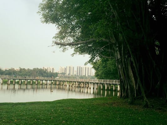 Jurong Lake Gardens by null