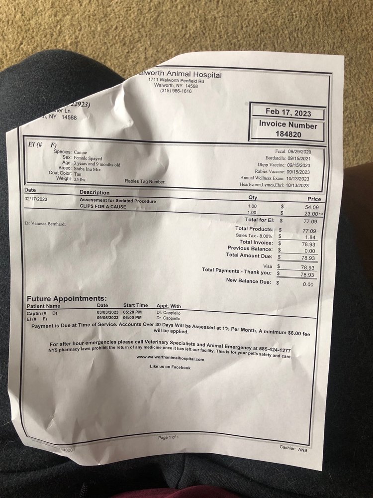 WALWORTH ANIMAL HOSPITAL 17 Reviews 1711 Penfield Walworth Rd