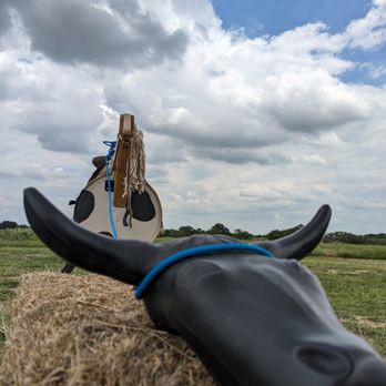 Rockberry Ranch - Pick Your Own Farms Near Me - Poteet, Texas
