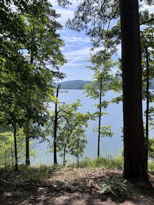 Lake Ouachita State Park by null