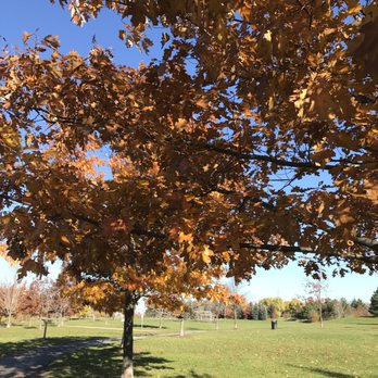 Simonston Park - Parks Near Me - Markham, Ontario