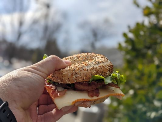 Bodo's Bagels by null