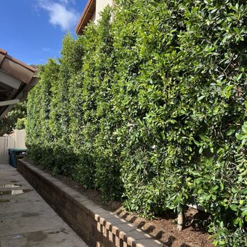 Moon Valley Nurseries - Nurseries & Gardening Near Me - El Cajon, California