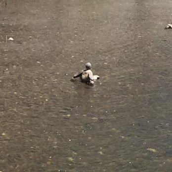 HoBo Artwalk - Looks like he's doing pieces in the water - Local Flavor Near Me HoBo Artwalk - Looks like he's doing pieces in the water - Local Flavor Near Me