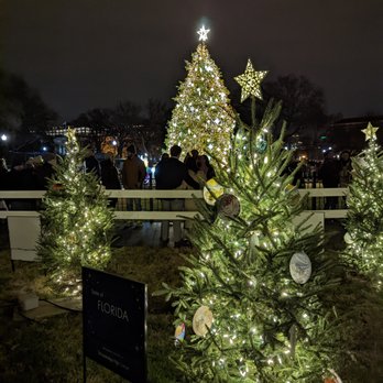 National Christmas Tree - Local Flavor Near Me - Washington, DC, District of Columbia National Christmas Tree - Local Flavor Near Me - Washington, DC, District of Columbia
