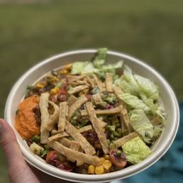 Salad Bowl