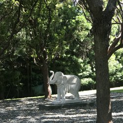 Carolands Foundation