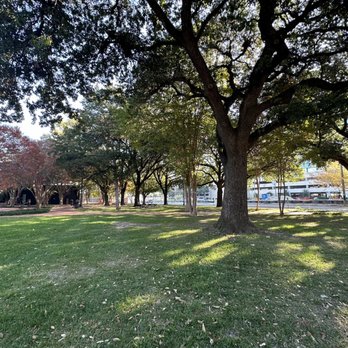 Central Square Park - Parks Near Me - Dallas, Texas