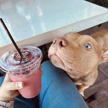 The Coffee Class - Coffee & Tea Near Me - Las Vegas, Nevada