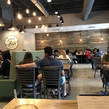 First Watch - Breakfast & Brunch Near Me - Pembroke Pines, Florida First Watch - Breakfast & Brunch Near Me - Pembroke Pines, Florida