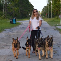 Dog Training With Liz