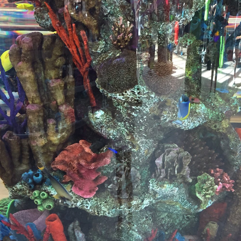 Scheels - Indoor aquarium - Sports Wear Near Me - Sparks, Nevada Scheels - Indoor aquarium - Sports Wear Near Me - Sparks, Nevada