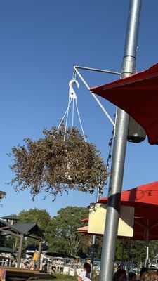 Buckeye Lake Winery by null