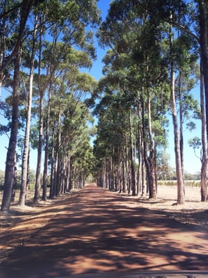 Vasse Felix by null