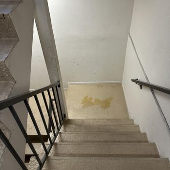The Encore Apartments - This is a large spot of dried dog urine that the Encore left for weeks, despite tickets being opened and asked for updates on the tenant app - Apartments Near Me - Sherman Oaks, California The Encore Apartments - This is a large spot of dried dog urine that the Encore left for weeks, despite tickets being opened and asked for updates on the tenant app - Apartments Near Me - Sherman Oaks, California