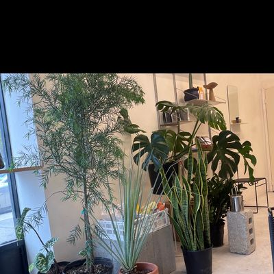 Botani Cafe by null