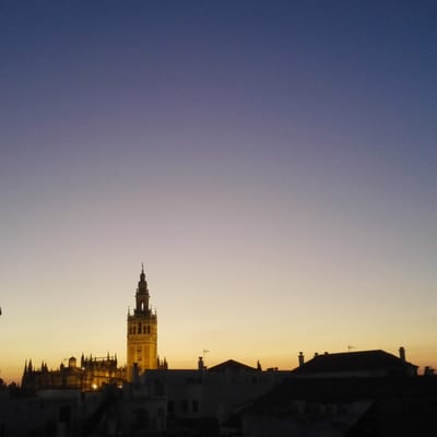 Hotel Amadeus by null