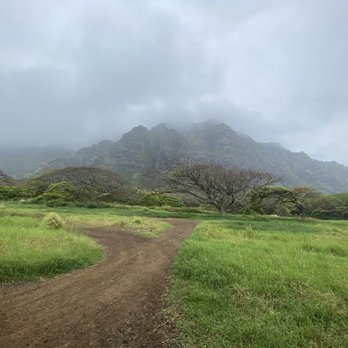 Kualoa Ranch - Tours Near Me - Kaneohe, Hawaii Kualoa Ranch - Tours Near Me - Kaneohe, Hawaii