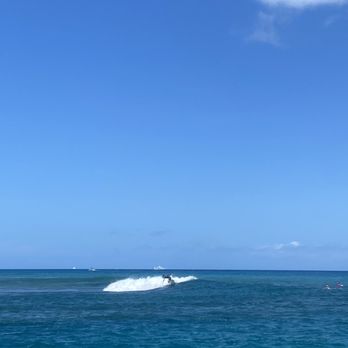 Living Ocean Tours - Snorkeling Near Me - Honolulu, Hawaii Living Ocean Tours - Snorkeling Near Me - Honolulu, Hawaii