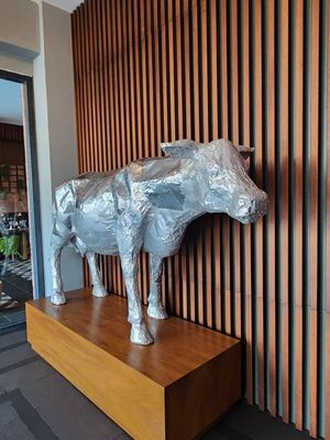 Majestic Elegance Costa Mujeres by null