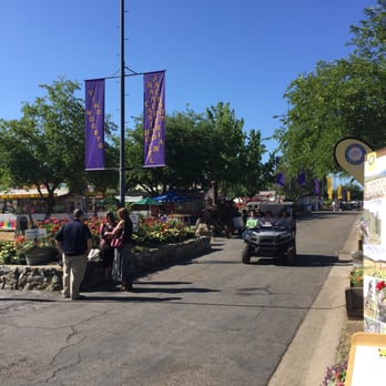 Amador County Fair - The fair isn't open yet, but fair goers are trickling in. - Festivals Near Me Amador County Fair - The fair isn't open yet, but fair goers are trickling in. - Festivals Near Me