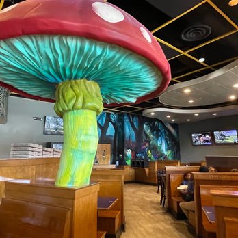 Mellow Mushroom Knoxville - inside of restaurant - Pizza Near Me - Knoxville, Tennessee Mellow Mushroom Knoxville - inside of restaurant - Pizza Near Me - Knoxville, Tennessee