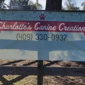 Charlotte's Canine Creations - Pet Groomers Near Me Charlotte's Canine Creations - Pet Groomers Near Me