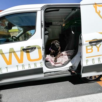 Two by Two Pet Support - Pet Transportation Near Me - Las Vegas, Nevada